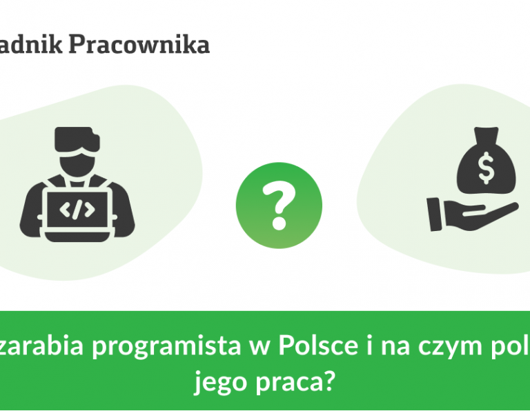 Ile zarabia programista w Polsce i na czym polega jego praca?