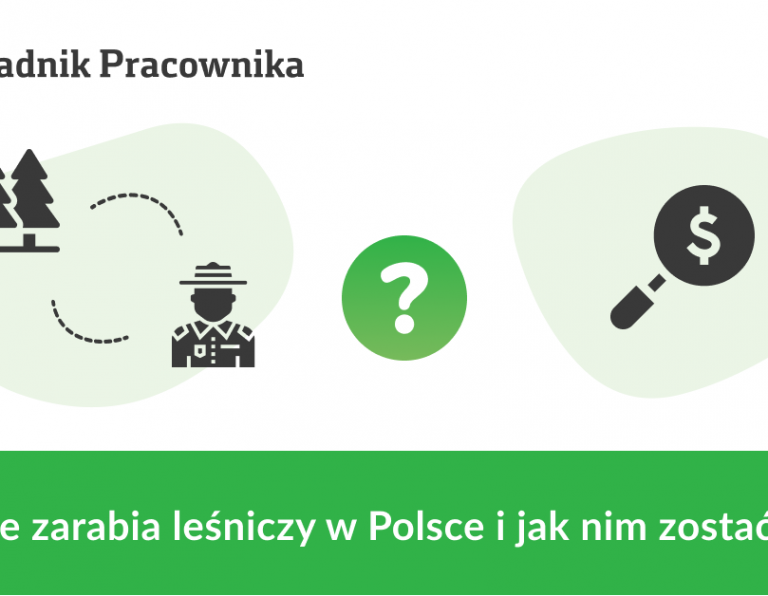 Ile zarabia leśniczy w Polsce i jak nim zostać?